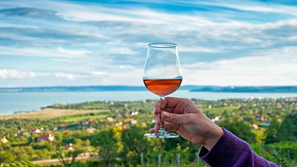 Lake Balaton Full Day Private Wine Tour