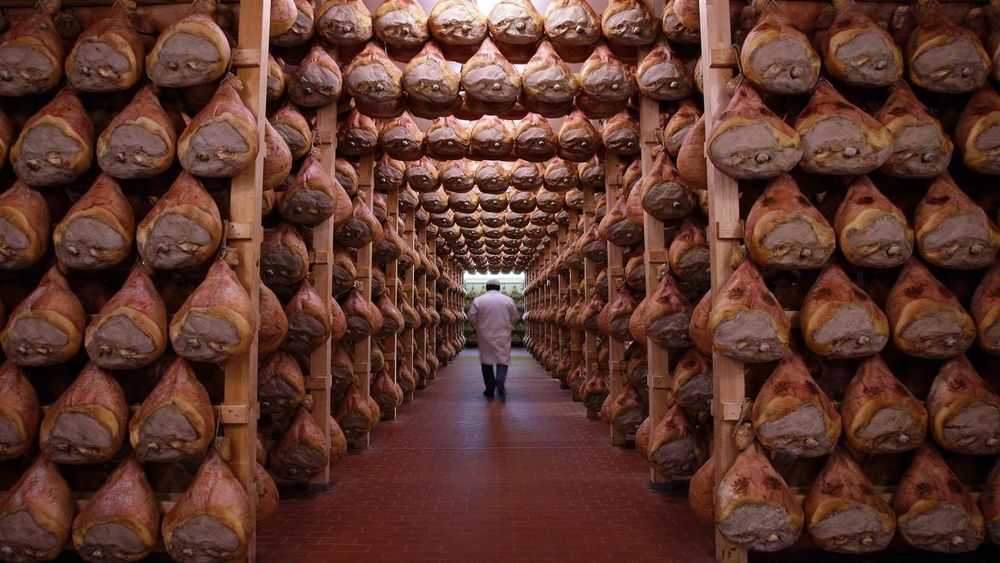 From Bologna: Parma Emilia Romagna's Food Valley