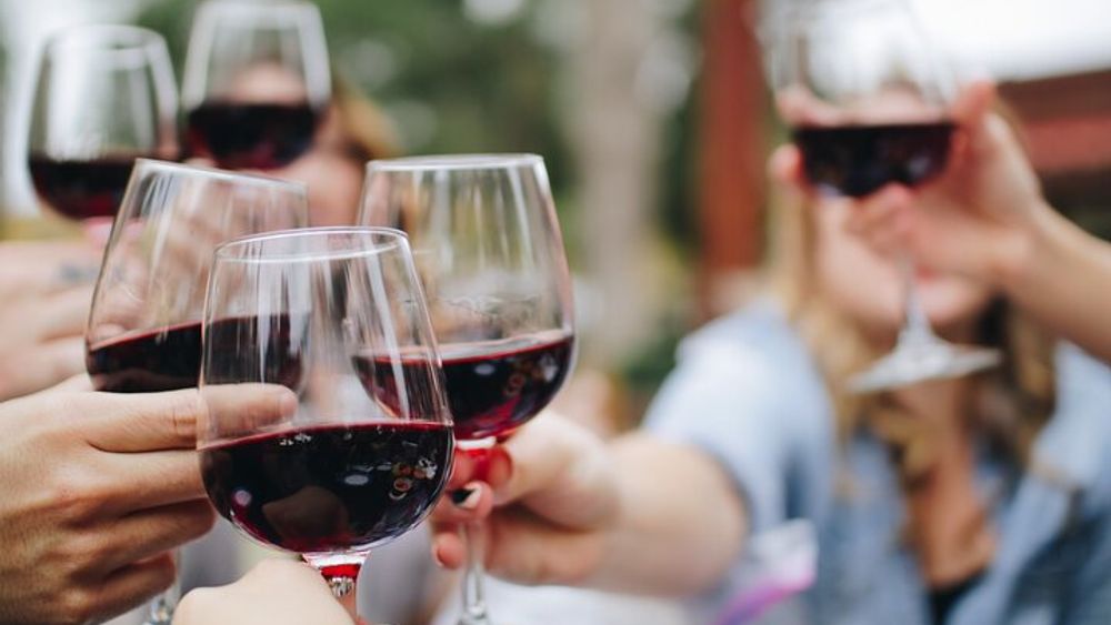 Dubrovnik: Private Full Day Wine Tasting Tour to Peljesac