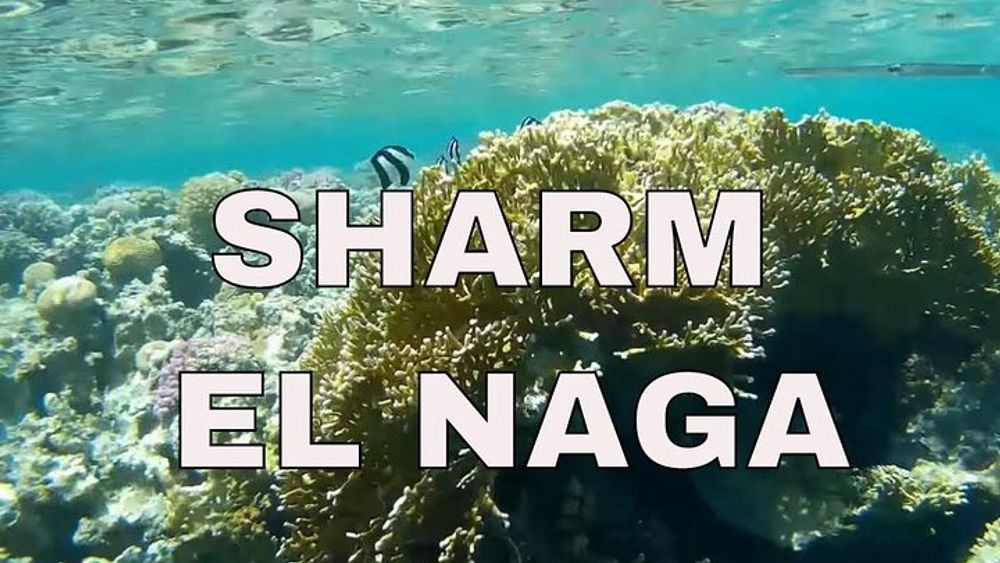 Sharm El Naga Day Snorkeling Trip and Lunch By Car From Hurghada