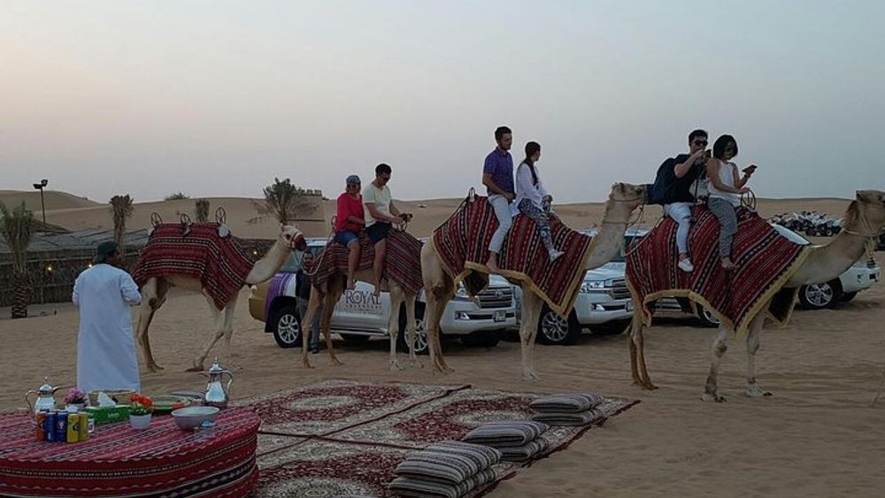 Dubai Camel Caravan with BBQ Dinner Buffet