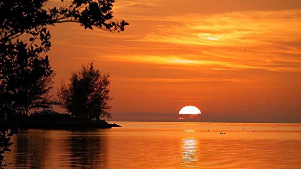Key West: Sunset Sail Full Bar, Live Music & Dinner & Early Morning Snorkeling