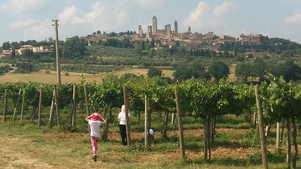 San Gimignano Monteriggioni Tuscany Chianti Wine Tasting Fullday from Florence