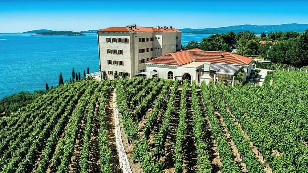 From Dubrovnik: Exclusive Wine Lovers Tour