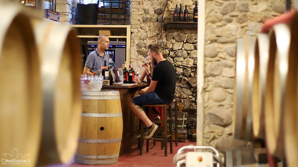Wine Tasting in Historical Center of Lazise