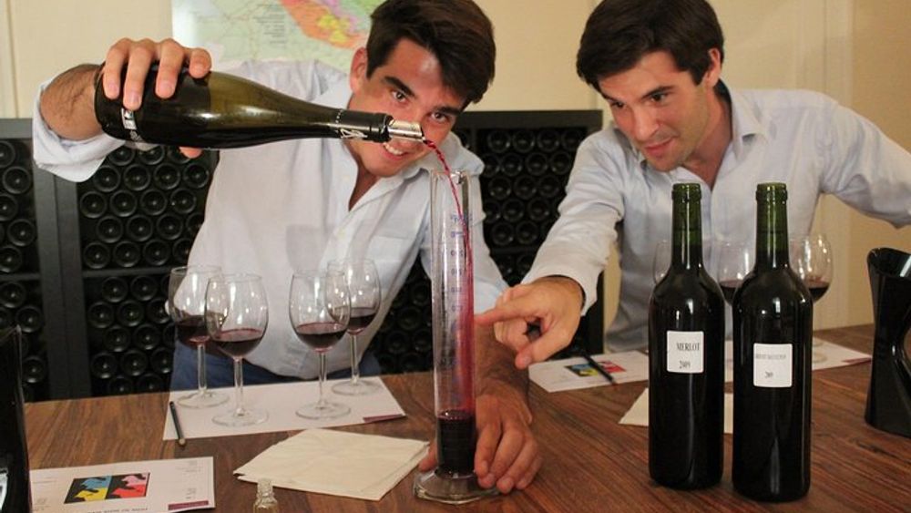 Bordeaux 2-Hour Small-Group Wine Tasting and Workshop