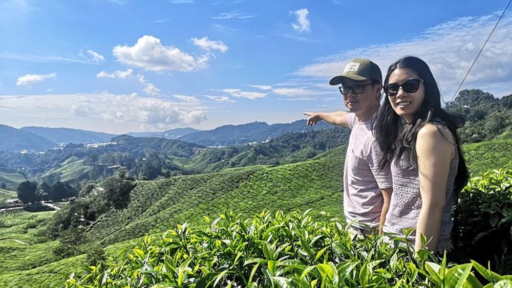 Cameron Highland Best Tour from Ipoh (Private Day Trip)