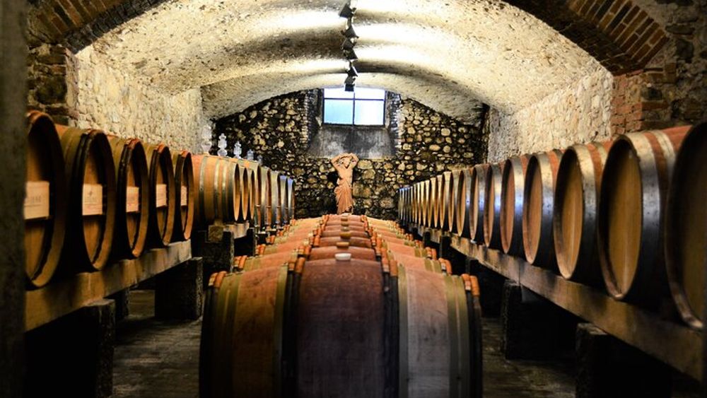From Florence: Half Day Wine Tour and Lunch in the Chianti Classico Region of Tuscany