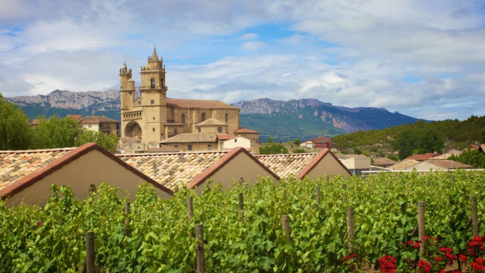 From San Sebastian: Explore an Exclusive Winery in the Rioja Wine Region