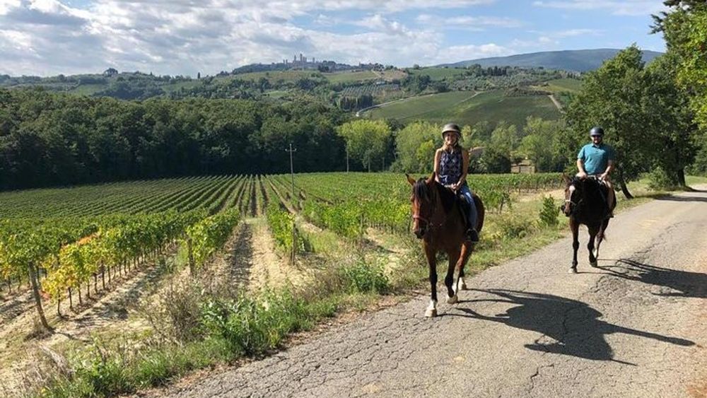 Horseback Ride in S.Gimignano with Tuscan Lunch Chianti Tasting