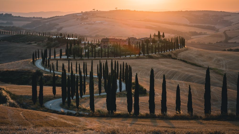 From Florence: Private Full Day Tour of the Val d'Orcia Wine Region (with Lunch)