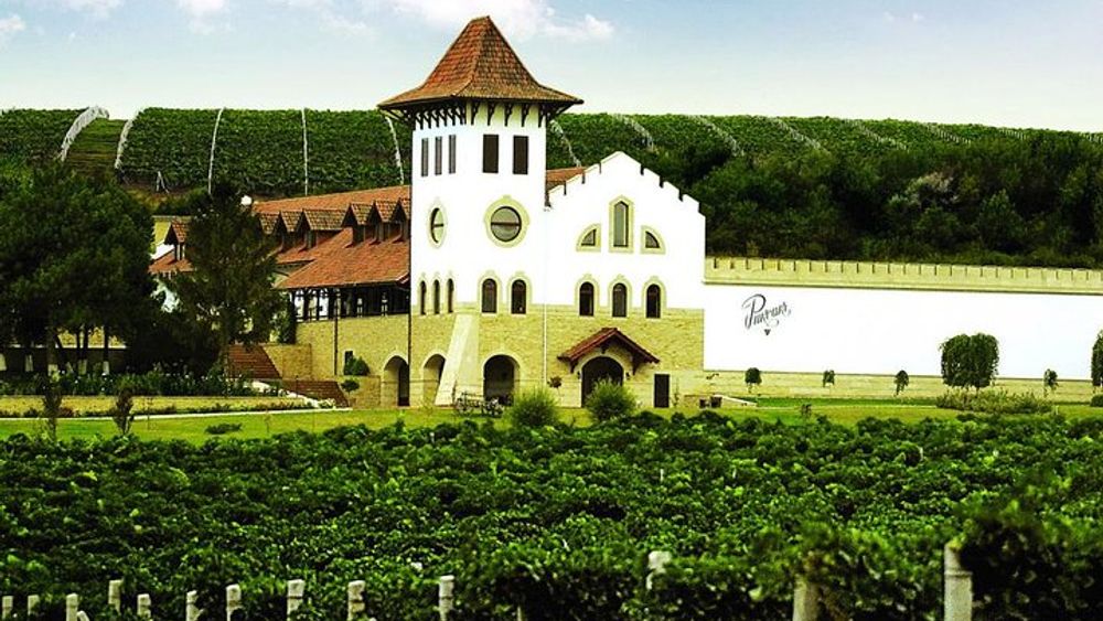 Moldova Wine tour to Chateau Purcari&tasting & The church Causeni