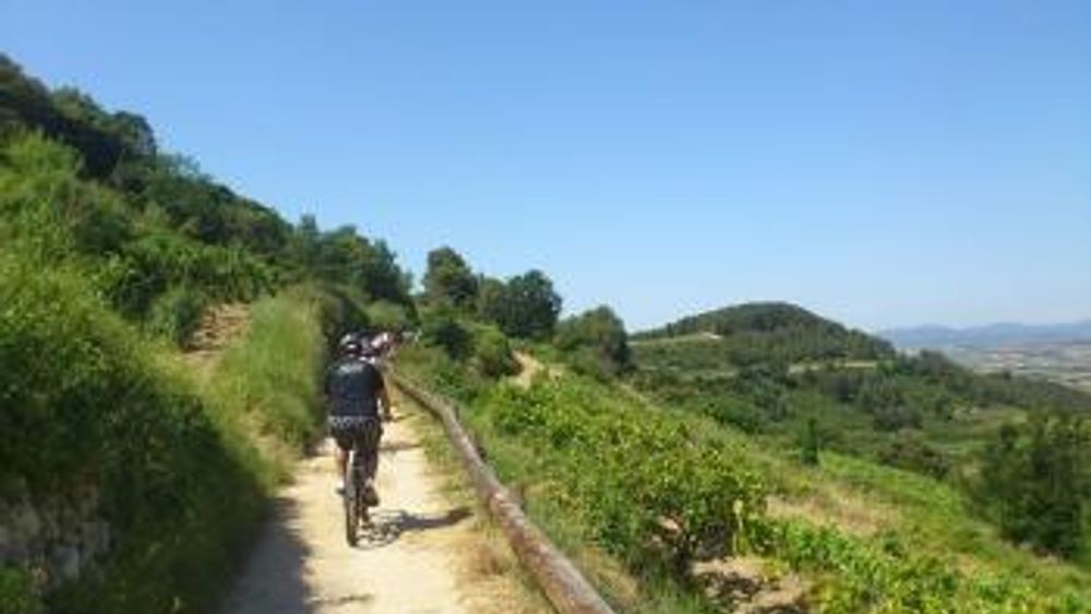 ROUTE ON BIKE AND WINE TASTING