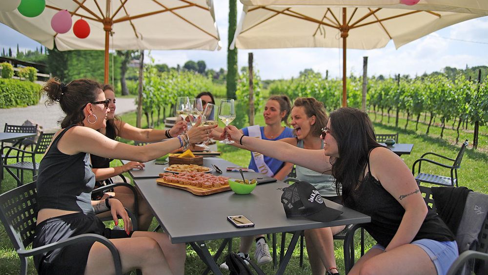 Wine and Food Tasting in the Vineyards