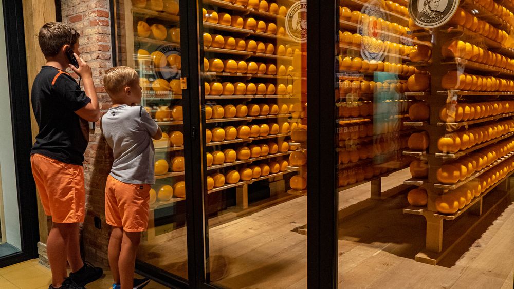 Edam Cheese Experience: The Story of Edam Cheese