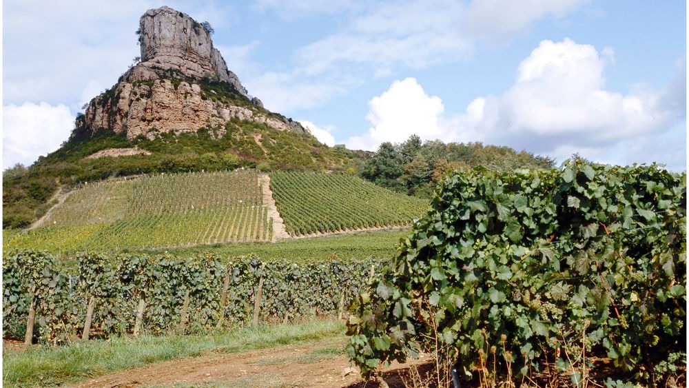 From Lyon: Private Macon & Beaujolais Wine Tour