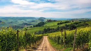 From Milan: Private Piedmont & Barolo Wine Experience with Tastings Cover Image