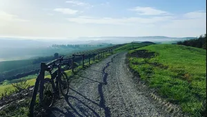 From Florence: Chianti Classico Full-Day Ebike & Wine Tour Cover Image