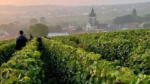 Champagne Region Small-Group Full-Day Tasting Tour From Paris Cover Image