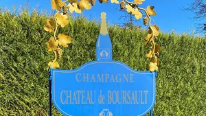 From Paris: Private Champagne Full Day Experience - Ayala and Moet & Chandon Cover Image