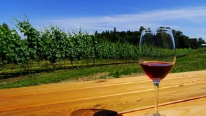 Private Tour: Vancouver Half Day Wine Tasting Tour Cover Image