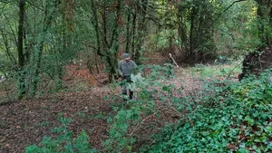 Truffle hunting in Rome for small groups Cover Image