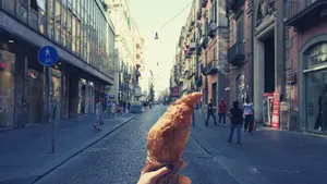 NAPLES STREET FOOD tour Cover Image