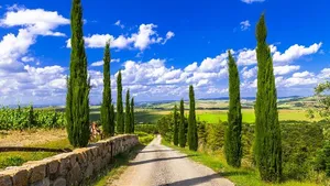 From Florence: Chianti Wine Region in Tuscany (with 2 Wine-Tastings and Vineyards Escape) Cover Image