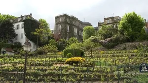 The Winegrowers’ Rally in Montmartre Cover Image