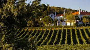 Évora Wine Tour - Roman Temple, Cathedral, Bones Chapel, Wine Tasting Cover Image