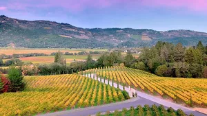 Private Napa Wine Tour Up To 6 Guests Cover Image