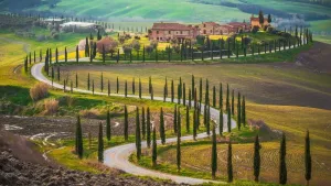 From Florence: Montalcino, Orcia Valley, Pienza, and Montepulciano: Wine and Cheese Tasting Cover Image