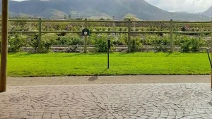 Private Constantia Wine Tour with Goodie Bag from Cape Town Cover Image