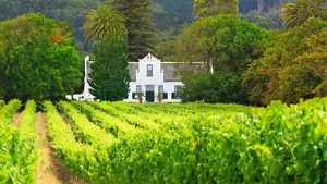 Cape Town: Full Day Cape Winelands Wine Tour Cover Image