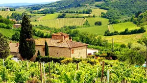 Half day Chianti Vineyard Escape from Florence with Wine Tastings Cover Image