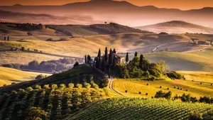 From Florence: Winery Tour with Tasting and Dinner in Chianti Cover Image