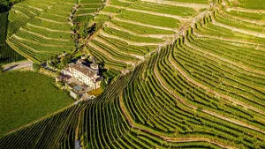 Milan Small-Group Lake Como and Vineyards Tour Cover Image