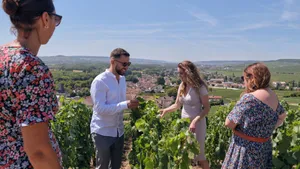 Full day Mumm, family growers with traditional lunch from Reims Cover Image