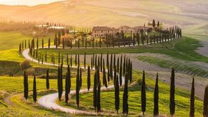 Florence: Best of Tuscany Landscape and Private Wine Tour Cover Image