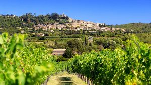 From Aix en Provence: A Private Provence Half Day Wine Tour Cover Image