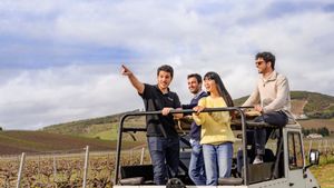 Lisbon: Wine Tour with 4WD Vineyards Experience Cover Image