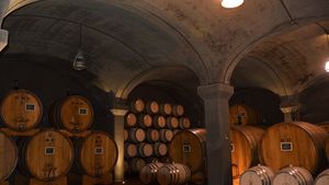From Florence: Full Day, 3 Wineries Tour in the Montalcino Region of Tuscany Cover Image
