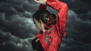 Barcelona: Tapas and Flamenco Evening Cover Image