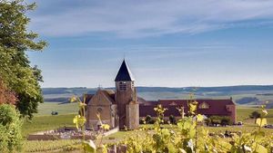From Paris: Private Chateau Pommard & Chablis Full-Day Wine Tour in the Burgundy Wine Region Cover Image