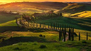 From Florence: Val d'Orcia Full Day Tour - Montalcino's Brunello, Montepulciano's Noble wine and Pienza Pecorino Cheese Cover Image