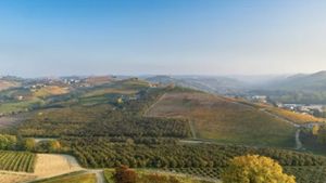 Barolo Wine Tour Experience From Milan Cover Image