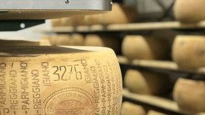 From Florence: Parmigiano & Culatello In the Lowlands of Parma Cover Image