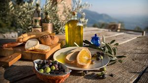 From Vence: Olive Oil & Wine in the Euganean Hills Cover Image