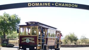 Napa Valley: Full-Day Wine Trolley Tour with Lunch Cover Image