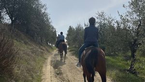Horseback Tour in Tuscany… Cover Image